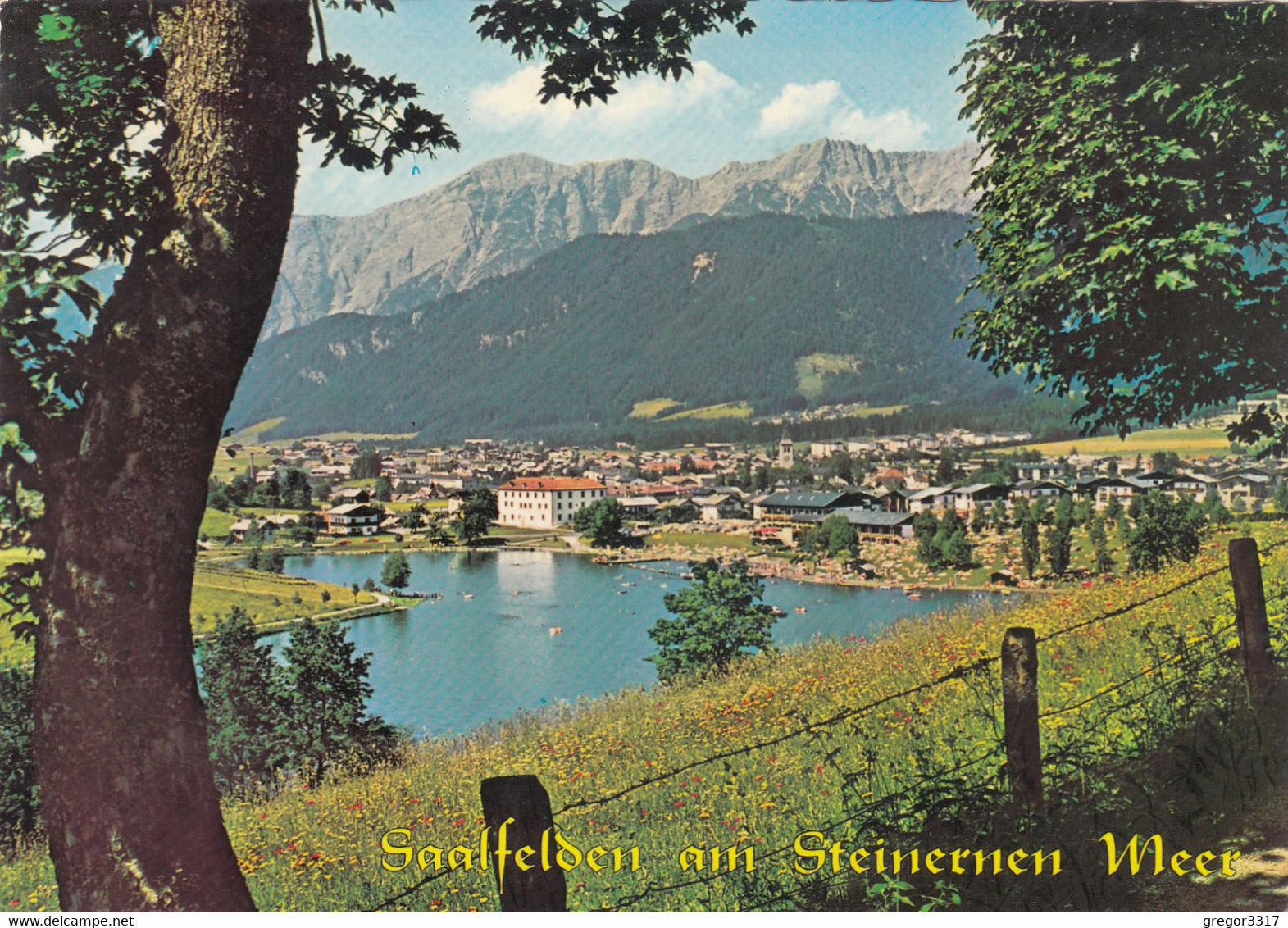 577) SAALFELDEN Am Steinernen Meer - Zaun Auf See M. Häusern - ältere AK 1975 - Saalfelden