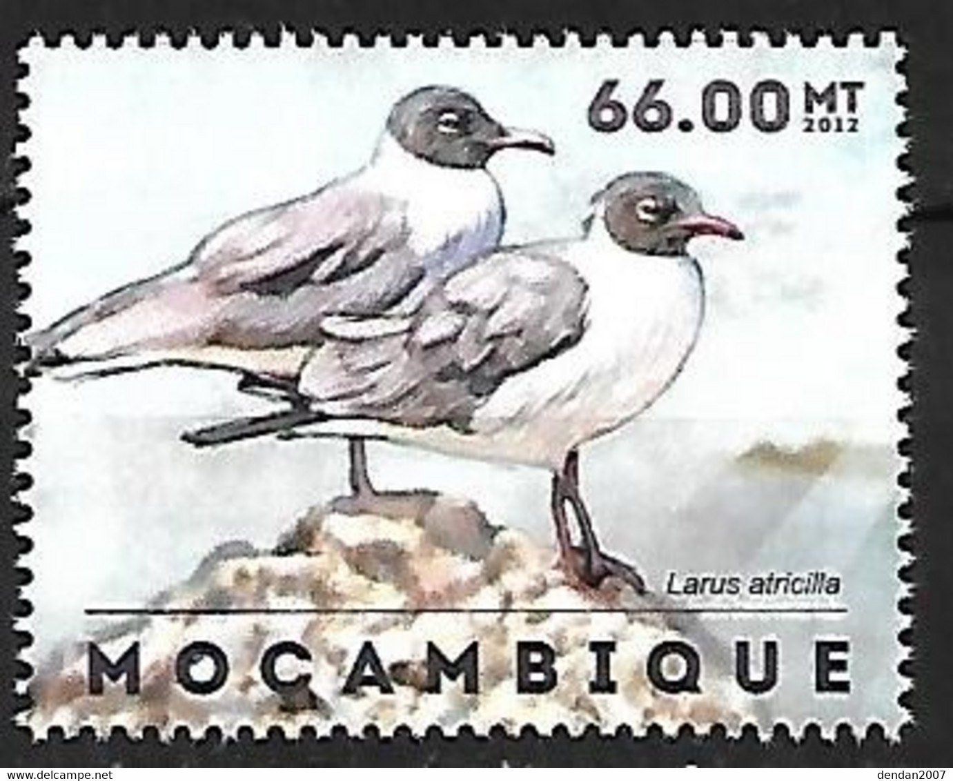 Mozambique - MNH ** 2012 :     Laughing Gull  -  Leucophaeus Atricilla - Mouettes