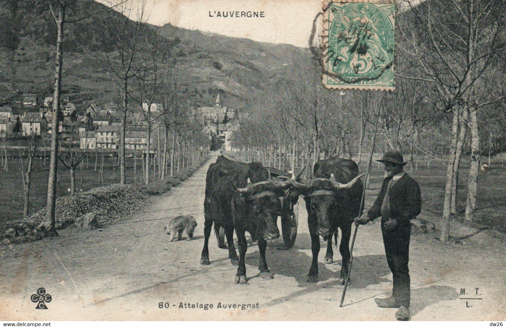 L'Auvergne - Attelage De Boeufs Auvergnat - Carte M.T.L. Dos Simple - Attelages