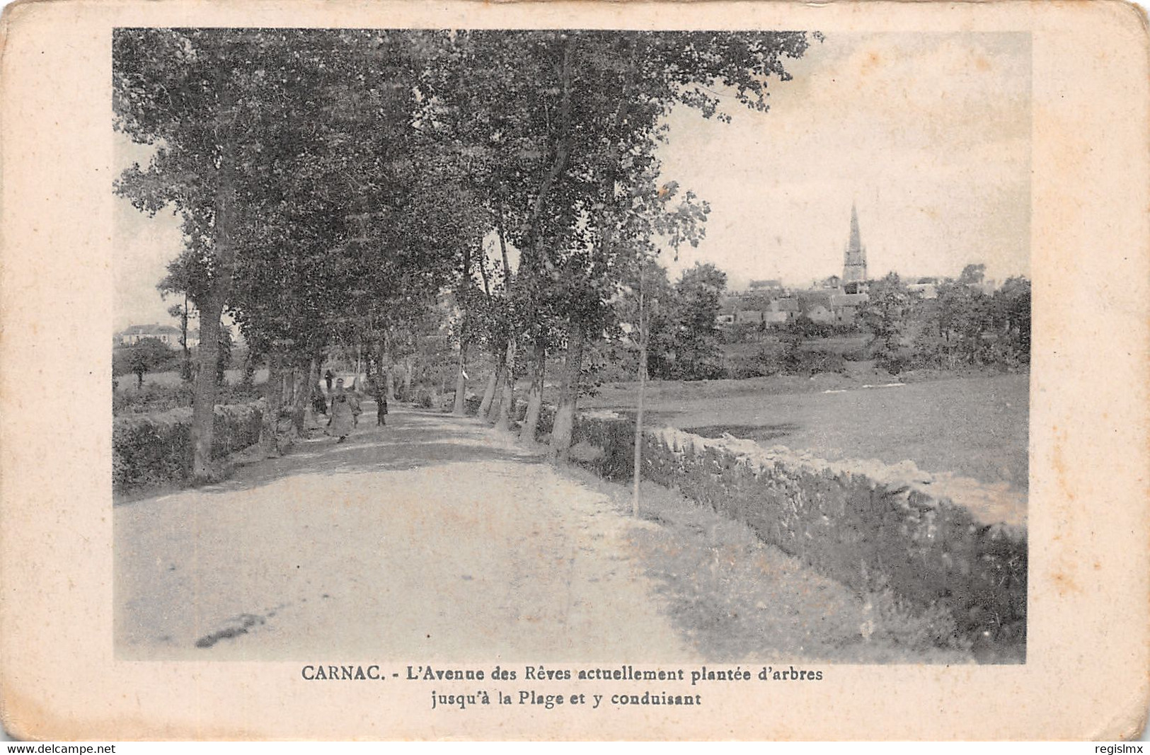 56-CARNAC-N°T2531-G/0015 - Carnac