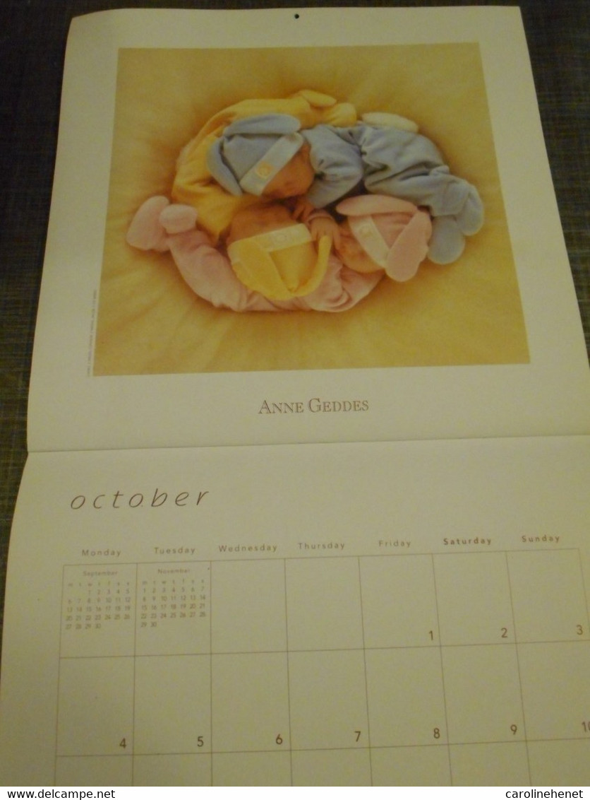 Calendrier 2004 ANNE GEDDES - Photography