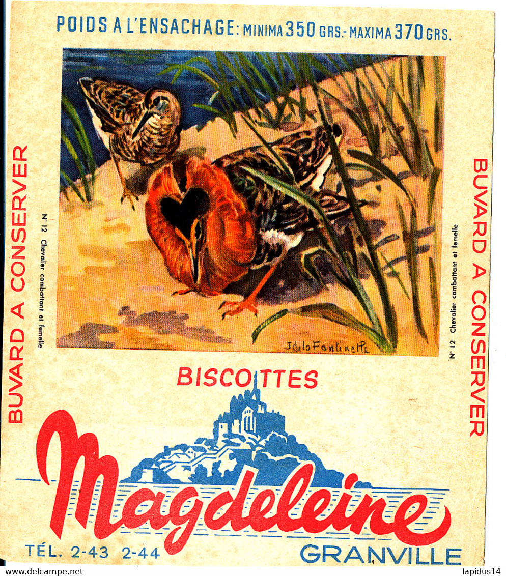 BU 2094 /   BUVARD-   BISCOTTES MAGDELEINE   GRANVILLE    CHEVALIER   ( 16,00 Cm X 14,00 Cm ) - Biscottes