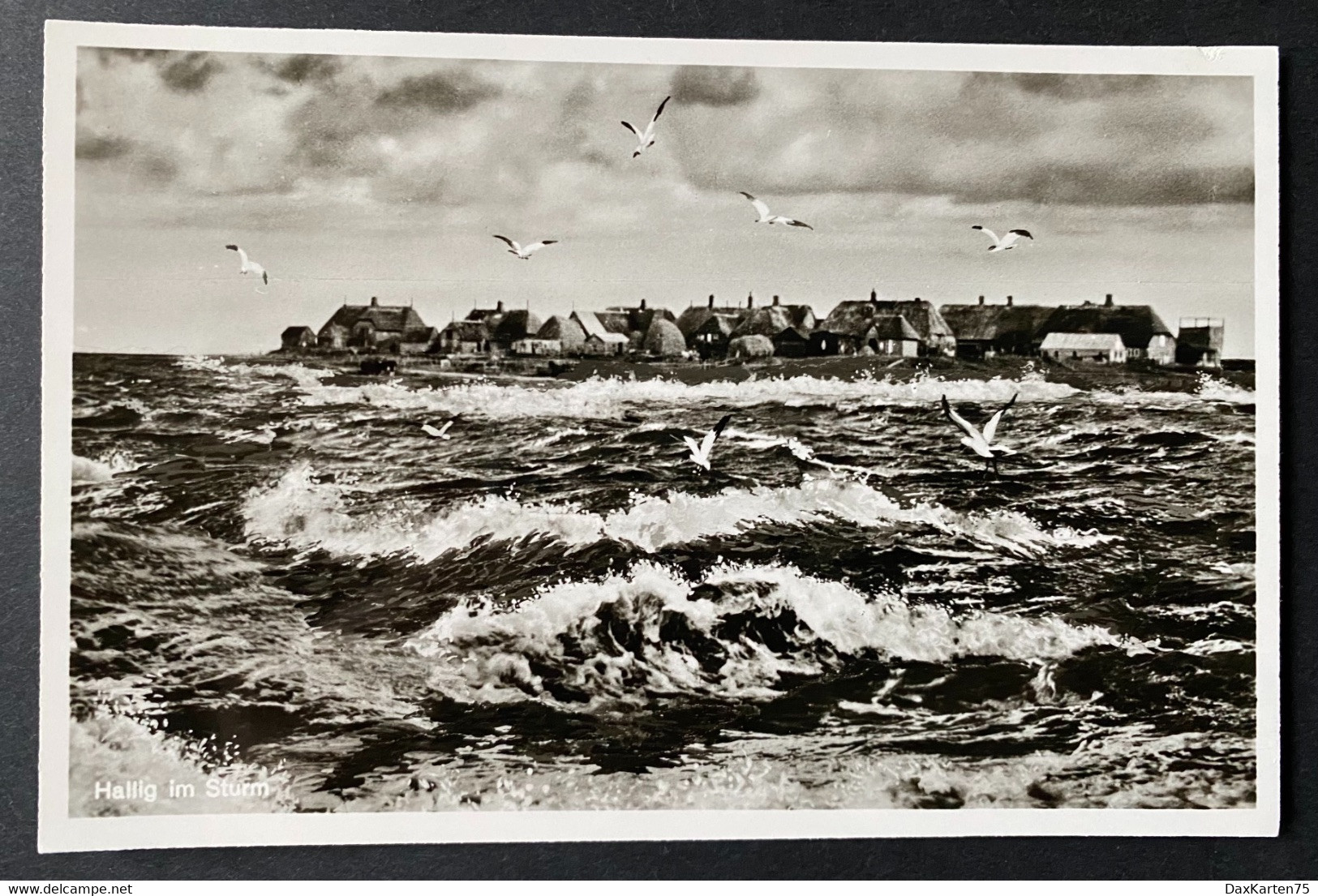 Hallig Im Sturm (evt. Nordfriesischen Wattenmeer ) - Nordfriesland