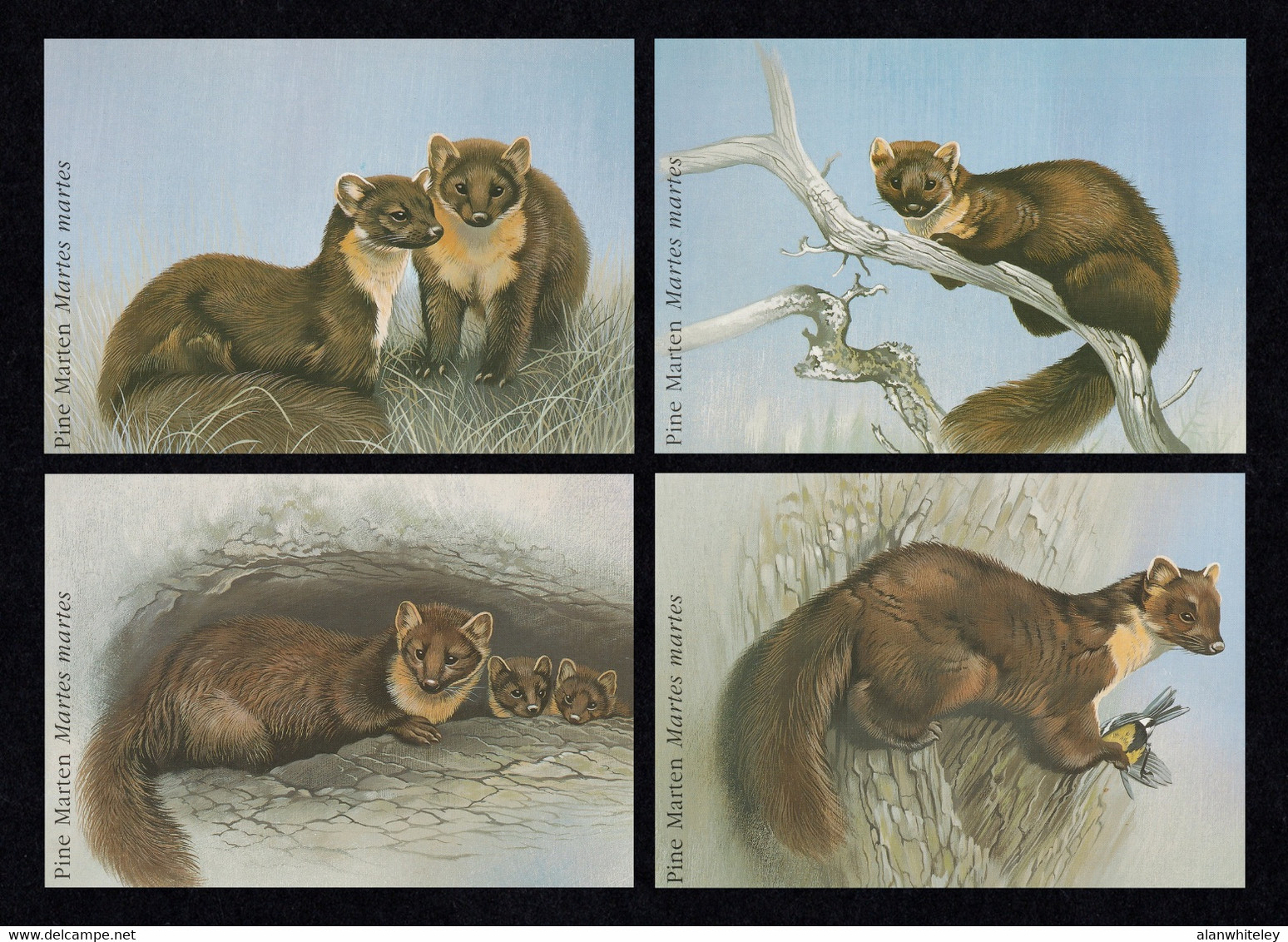 IRELAND 1992 Endangered Species / Pine Martin: Set Of 4 Postcards MINT/UNUSED - Entiers Postaux