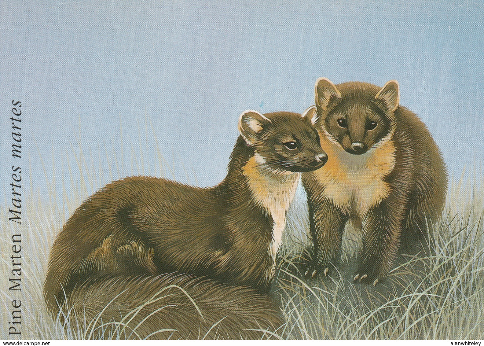 IRELAND 1992 Endangered Species / Pine Martin: Set Of 4 Postcards MINT/UNUSED - Ganzsachen