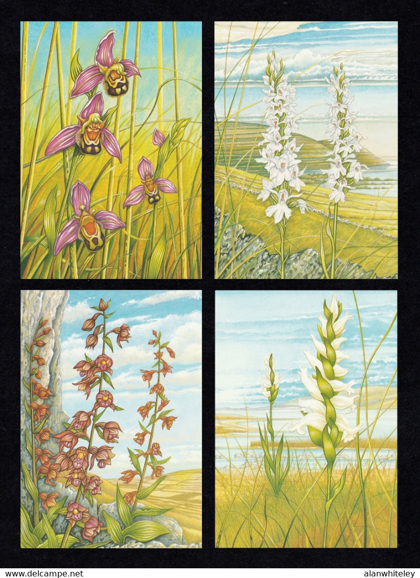 IRELAND 1993 Irish Orchids: Set Of 4 Postcards MINT/UNUSED - Interi Postali