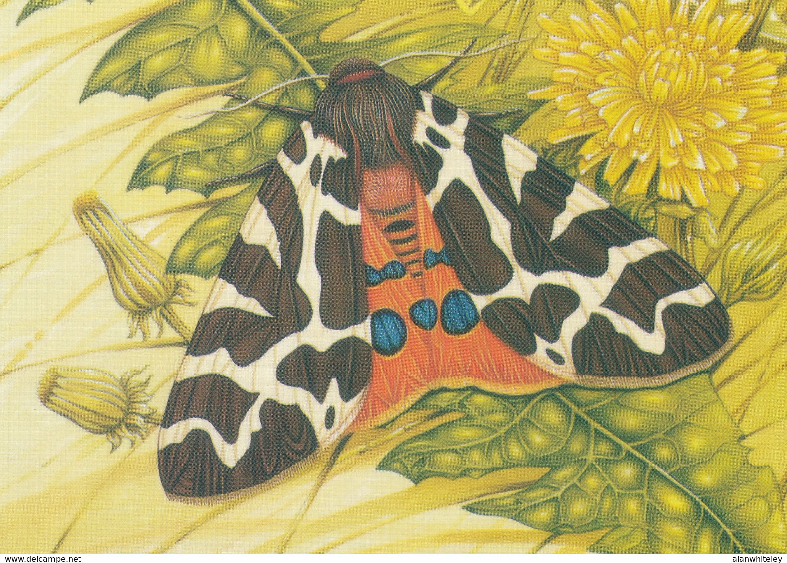 IRELAND 1994 Moths: Set Of 4 Postcards MINT/UNUSED - Interi Postali