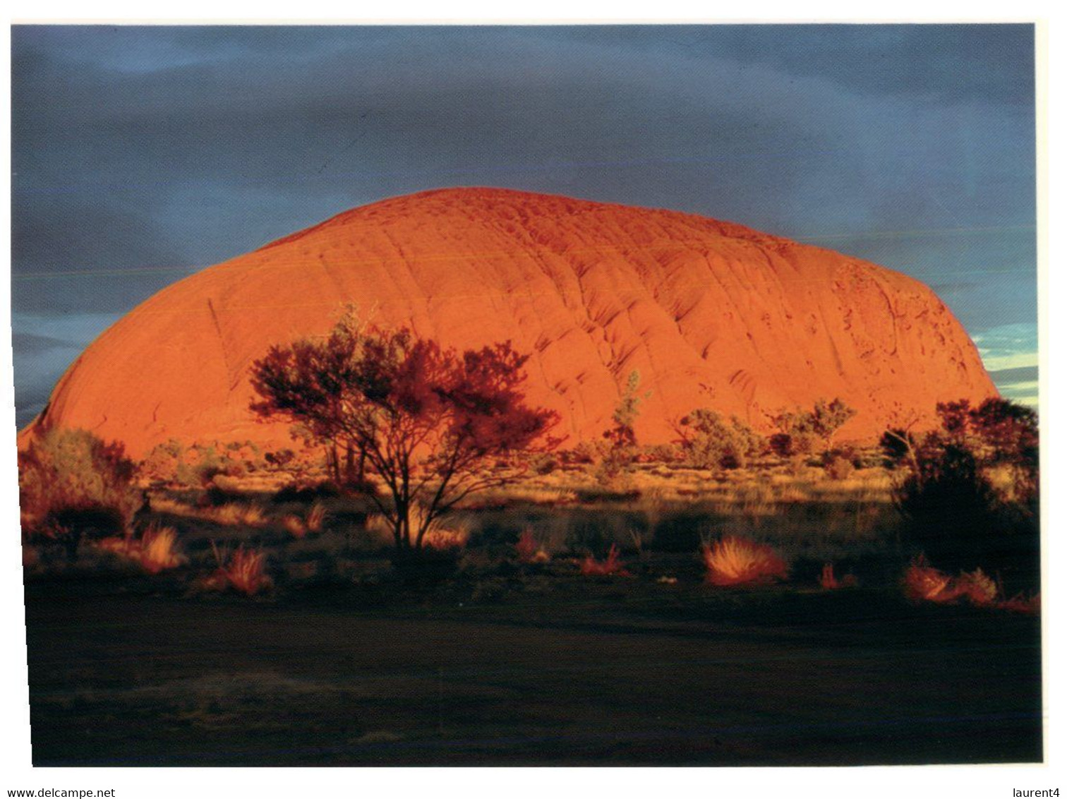 (Y 16) Australia - NT - Central Australia (2 Postcards) - The Red Centre