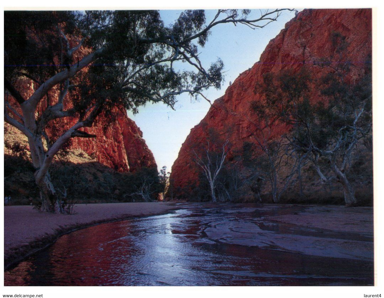 (Y 16) Australia - NT - Central Australia (2 Postcards) - The Red Centre