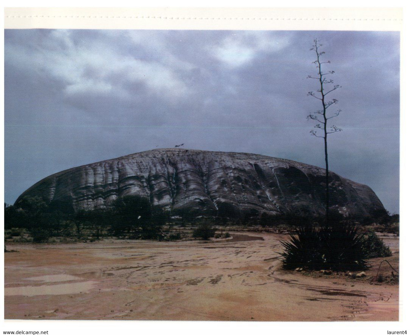 (Y 16) Australia - NT - Central Australia (2 Postcards) - The Red Centre