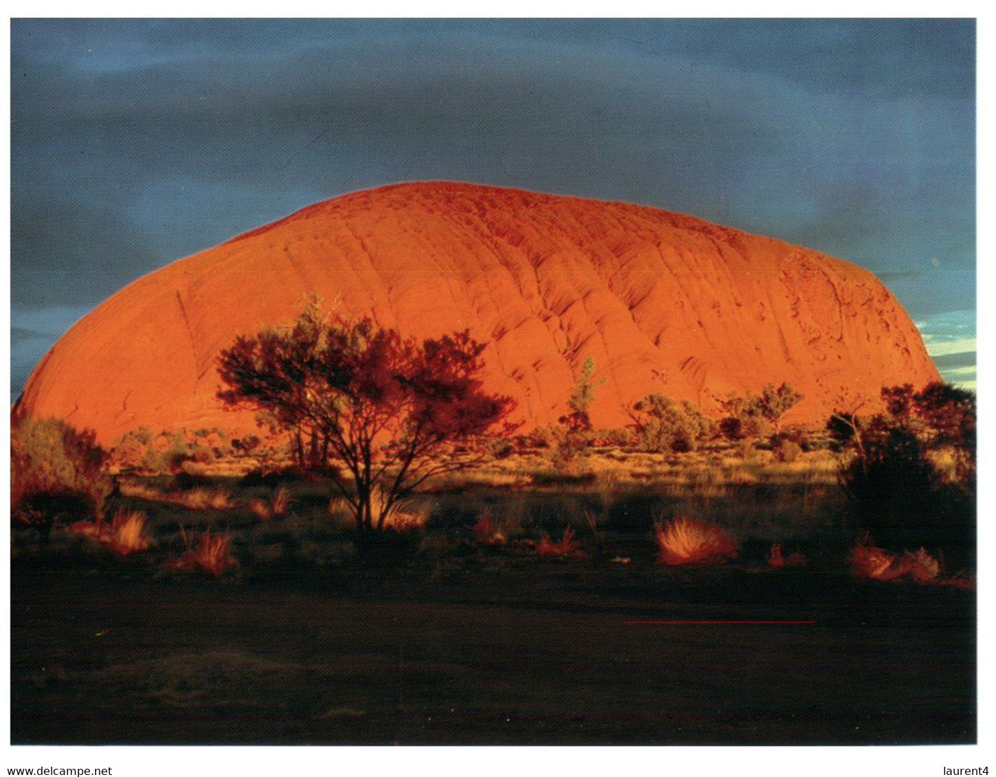 (Y 16) Australia - NT - Central Australia (2 Postcards) - The Red Centre