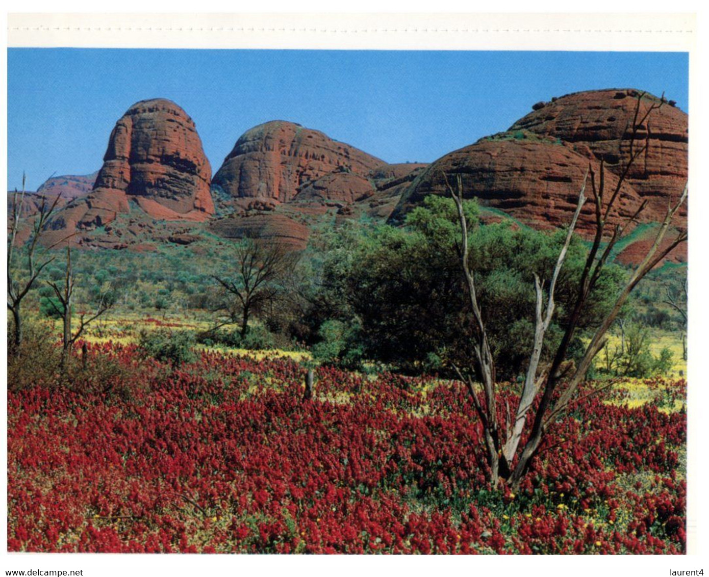 (Y 16) Australia - NT - Central Australia (2 Postcards) - The Red Centre