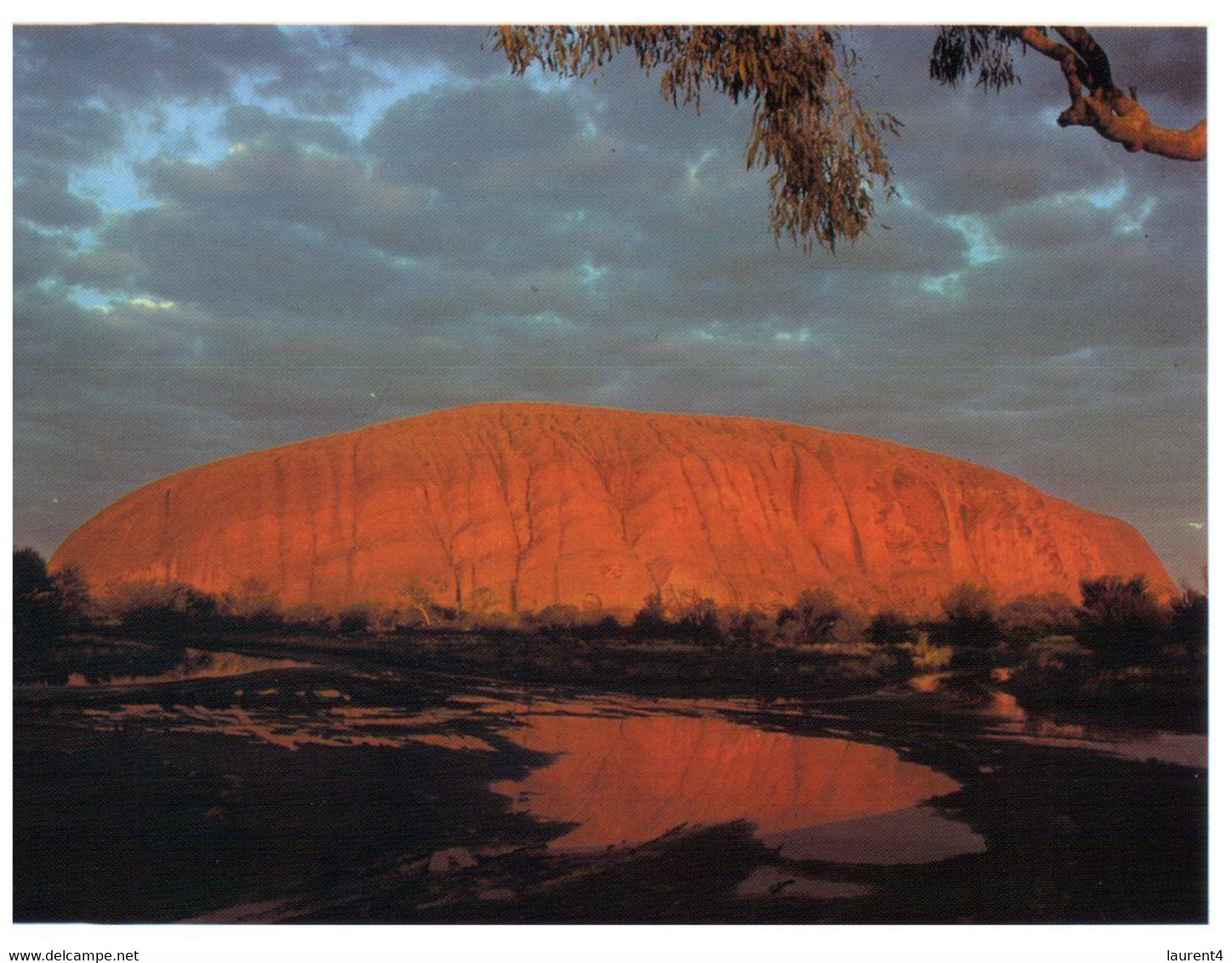 (Y 16) Australia - NT - Central Australia (2 Postcards) - The Red Centre