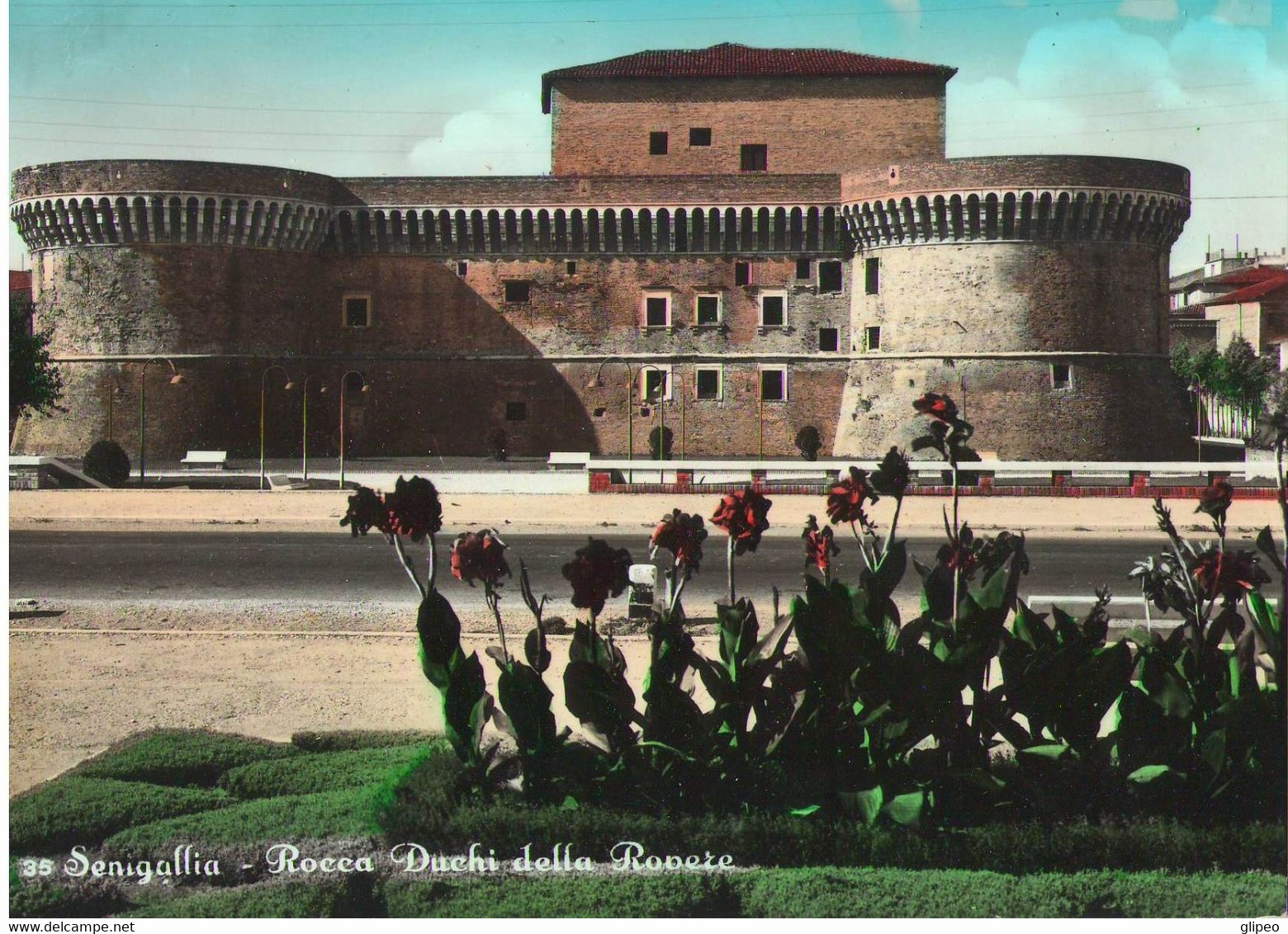 ANCONA - SENIGALLIA - ROCCA DUCHI DELLA ROVERE RETRODATATA 62 - Ancona