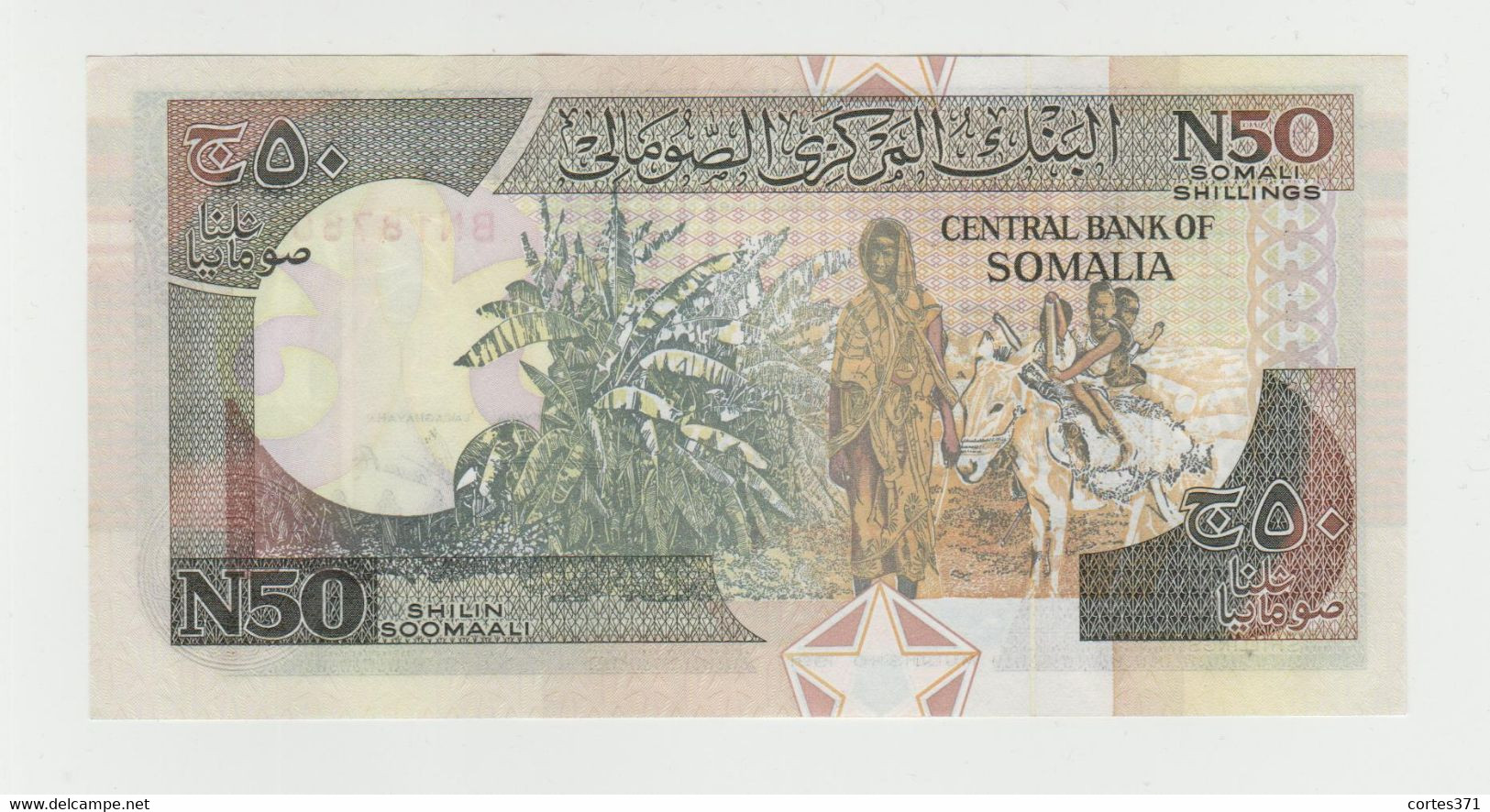 Somalia 50 New Shilin 1991 P-R2a UNC - Somalie