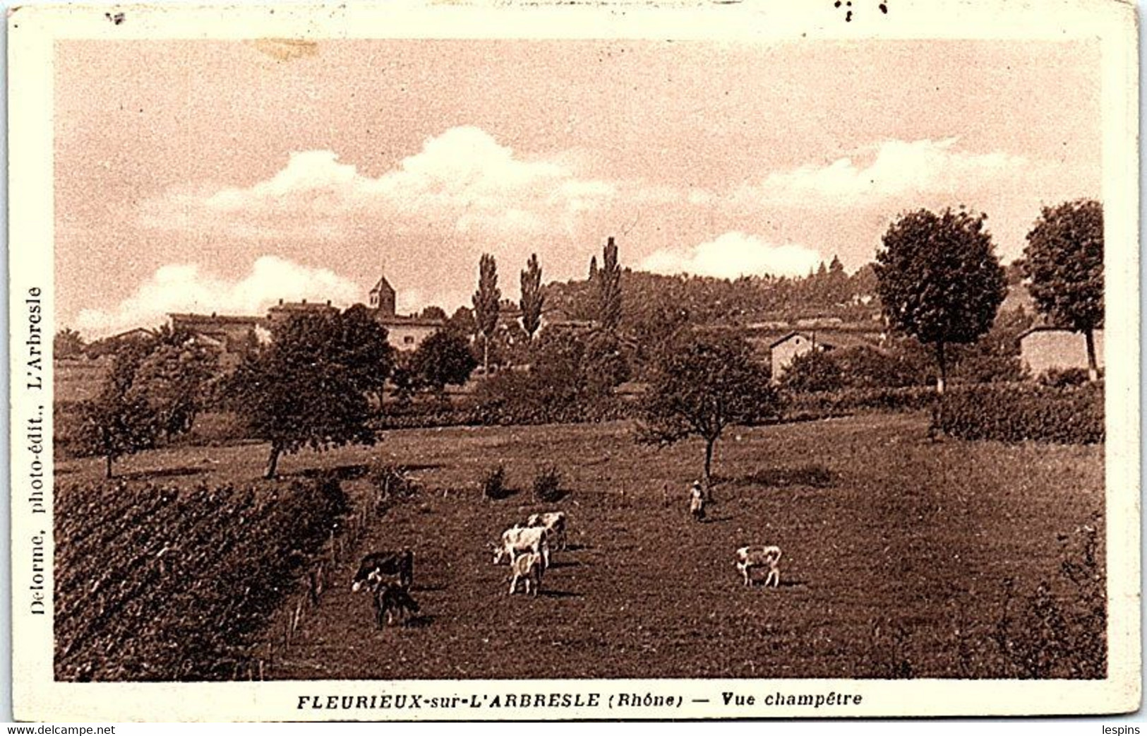 69 - FLEURIEU Sur L'ARBRESLE - Vue Champêtre - Feyzin