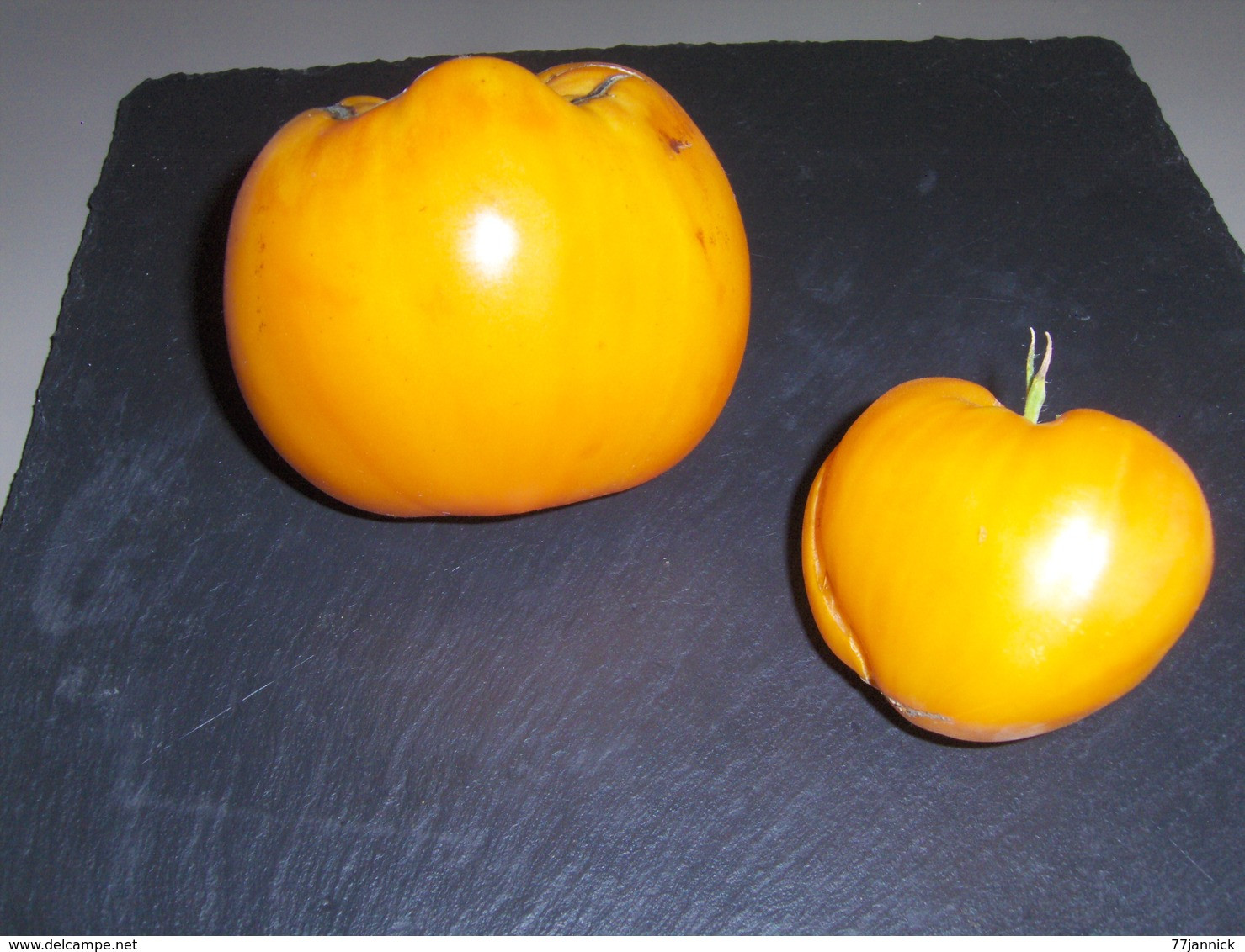 20 Graines De Tomate COEUR DE BOEUF ORANGE( BIO) - Andere & Zonder Classificatie