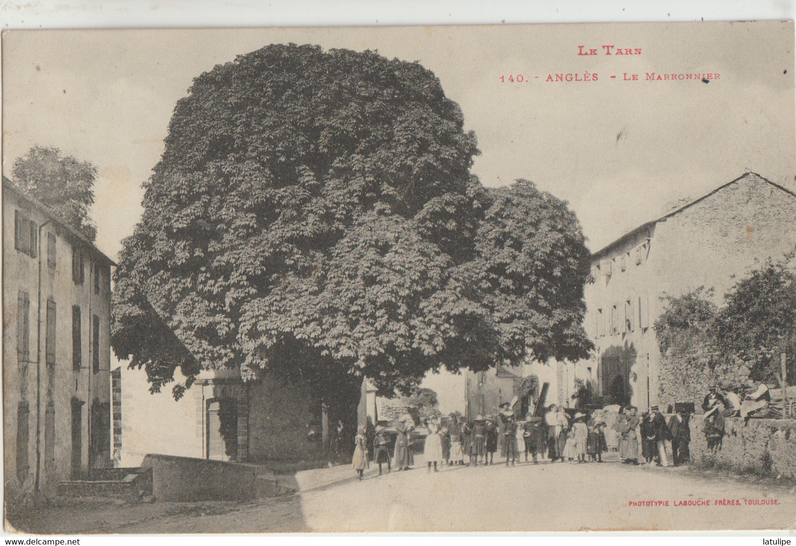 Anglés  81   Le Gros Marronnier) Et La Rue Tres Tres Animée - Angles