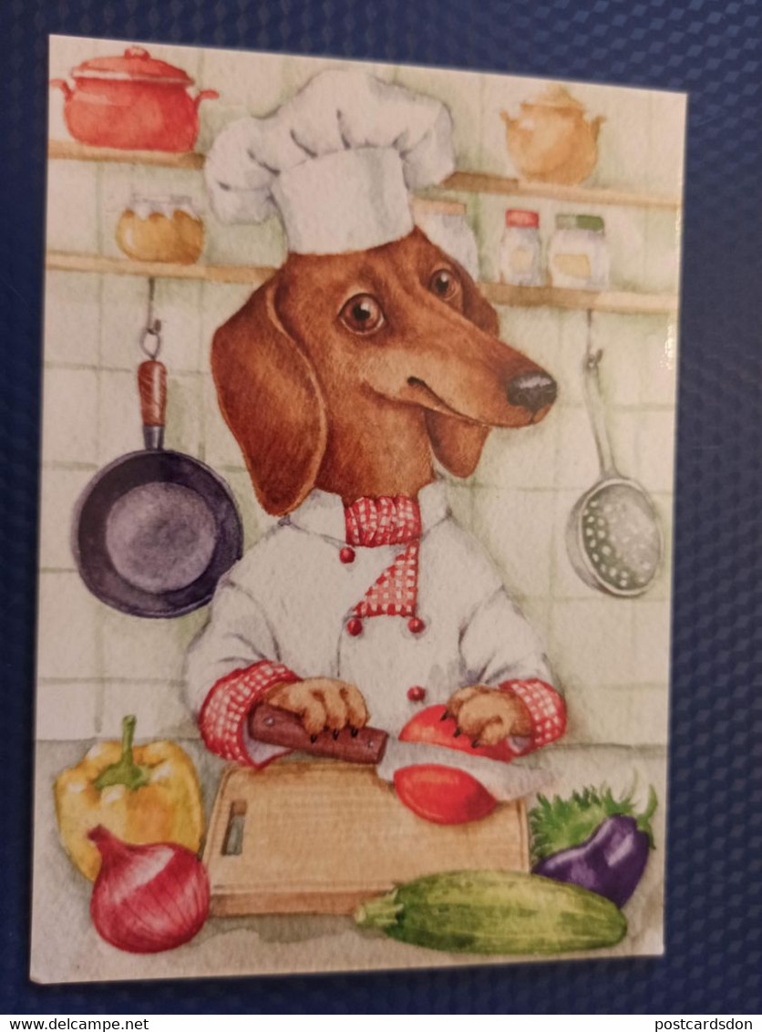 Illustrator Izmailova - Modern Postcard - Dachshund - Dachshound - Teckel - Dackel - Bassotto - Cuisine Chef - Hunde