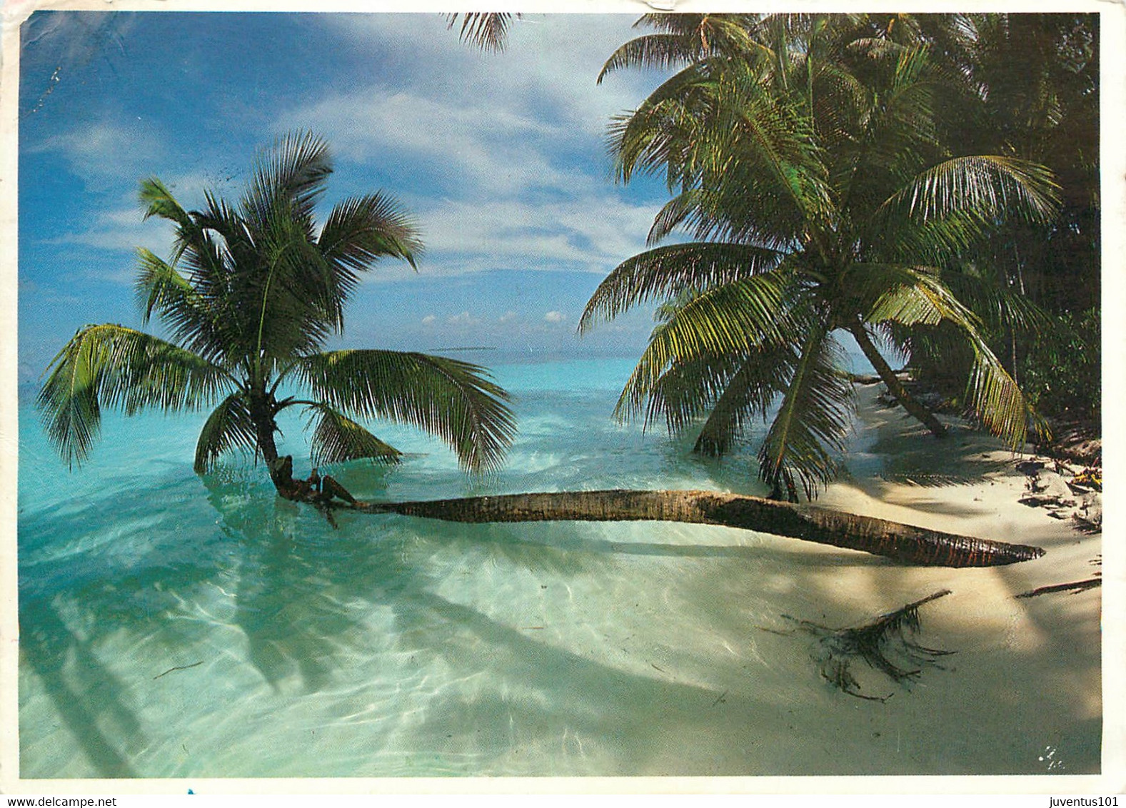 CPSM Maldives-Atoll   L74 - Maldives