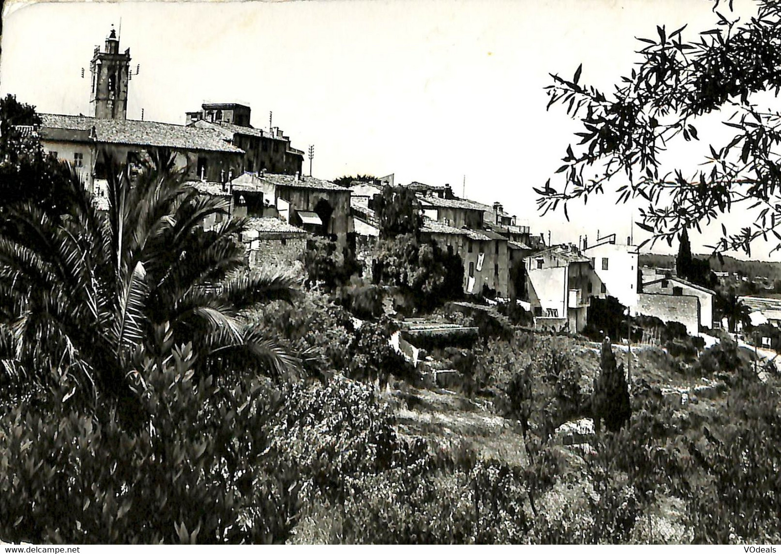 033 309 - CPSM - France (06)  Alpes Maritimes - Mougins - Vue Générale - Mougins