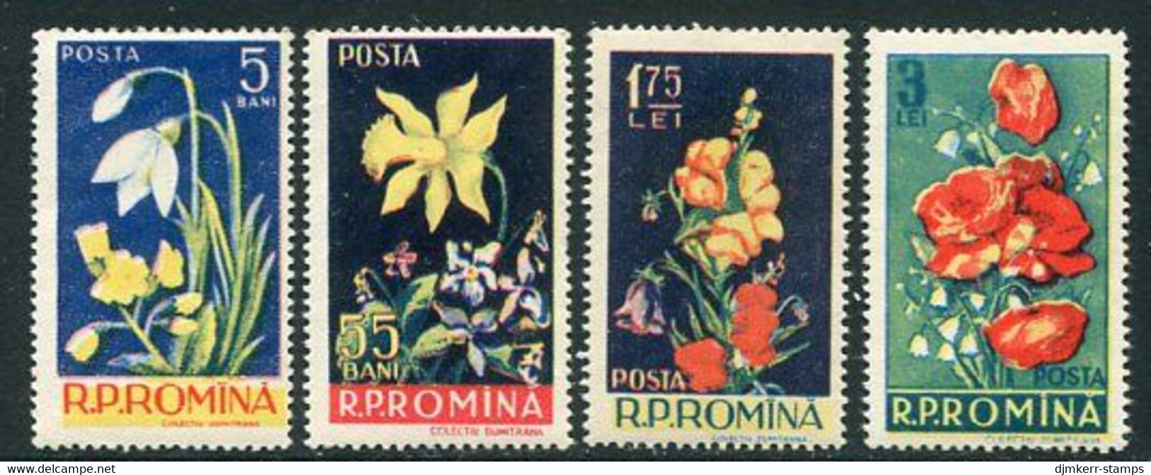 ROMANIA 1956 Flowers MNH / **.  Michel 1589-92 - Unused Stamps