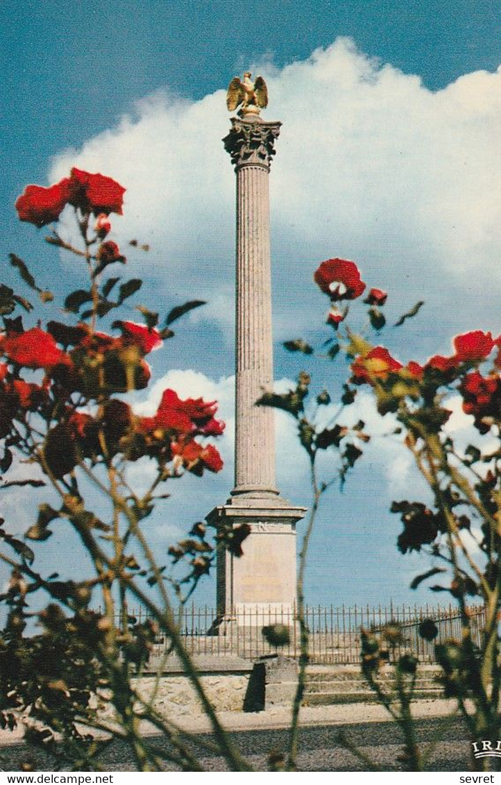 MONTMIRAIL. - La Colonne Commémorative De La Victoire De Napoléon Du 11 Février 1814 - Montmirail