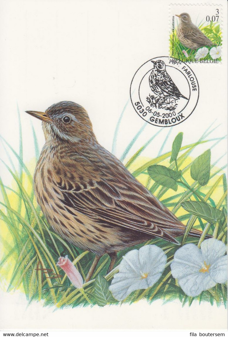 Buzin Graspieper - Pipit Farlouse  05-05-2000  OCB 2920 - 1991-2000