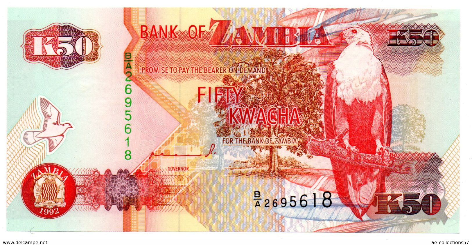 Zambie / 50 Kwacha 1992 / UNC - Sambia