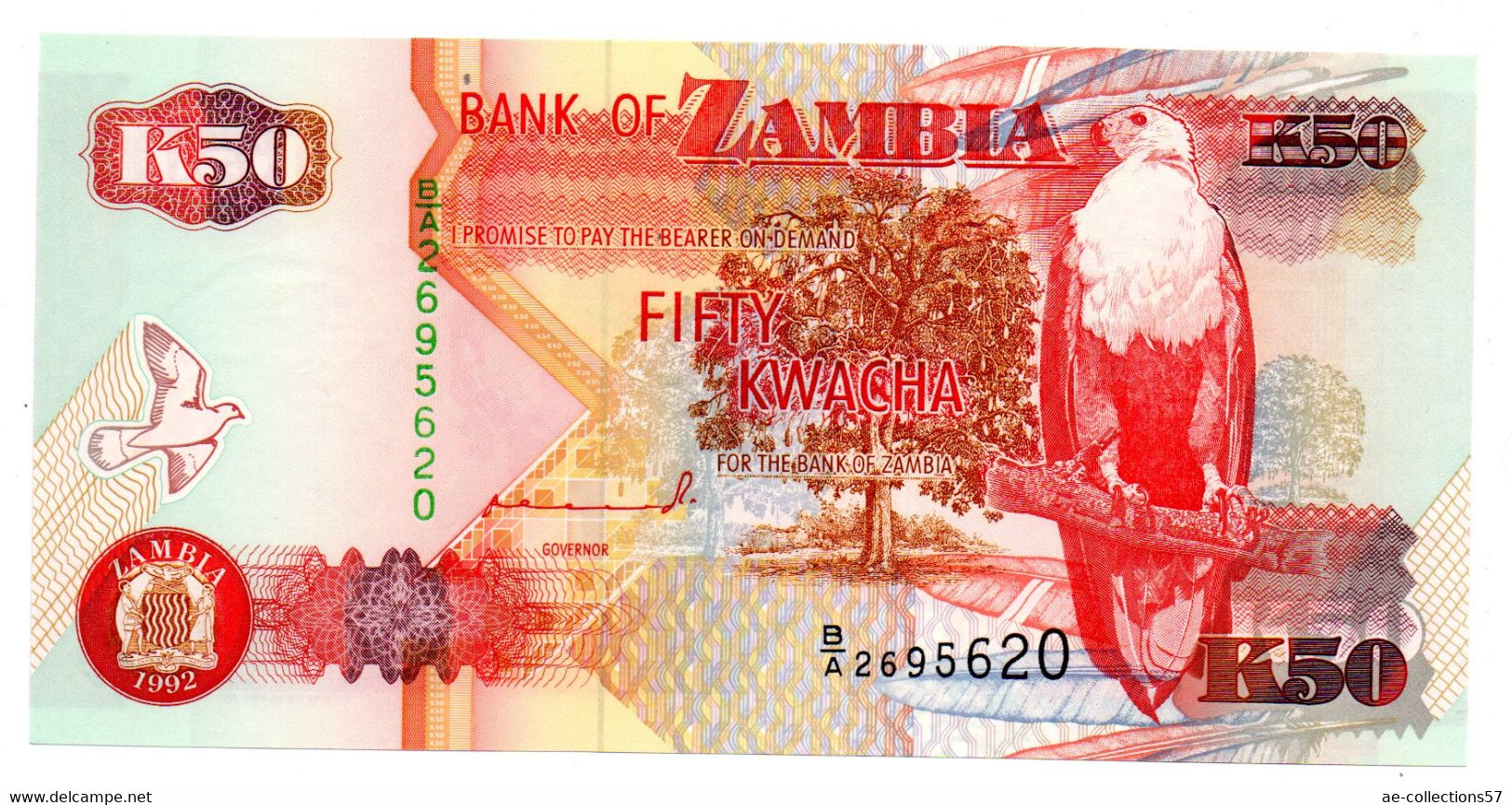 Zambie / 50 Kwacha 1992 / UNC - Sambia