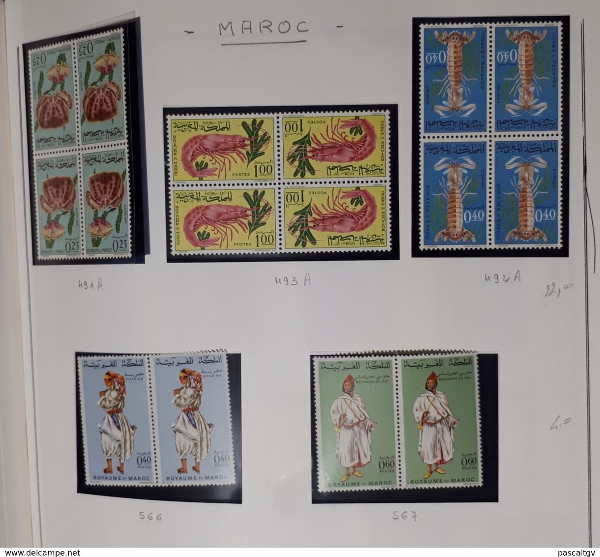 MAROC. Collection entre 1891 et 1982, 1200 Timbres ** ; qqs * ; qqs Ob sur l'ancien suivant scans.(cote 4200 eu)