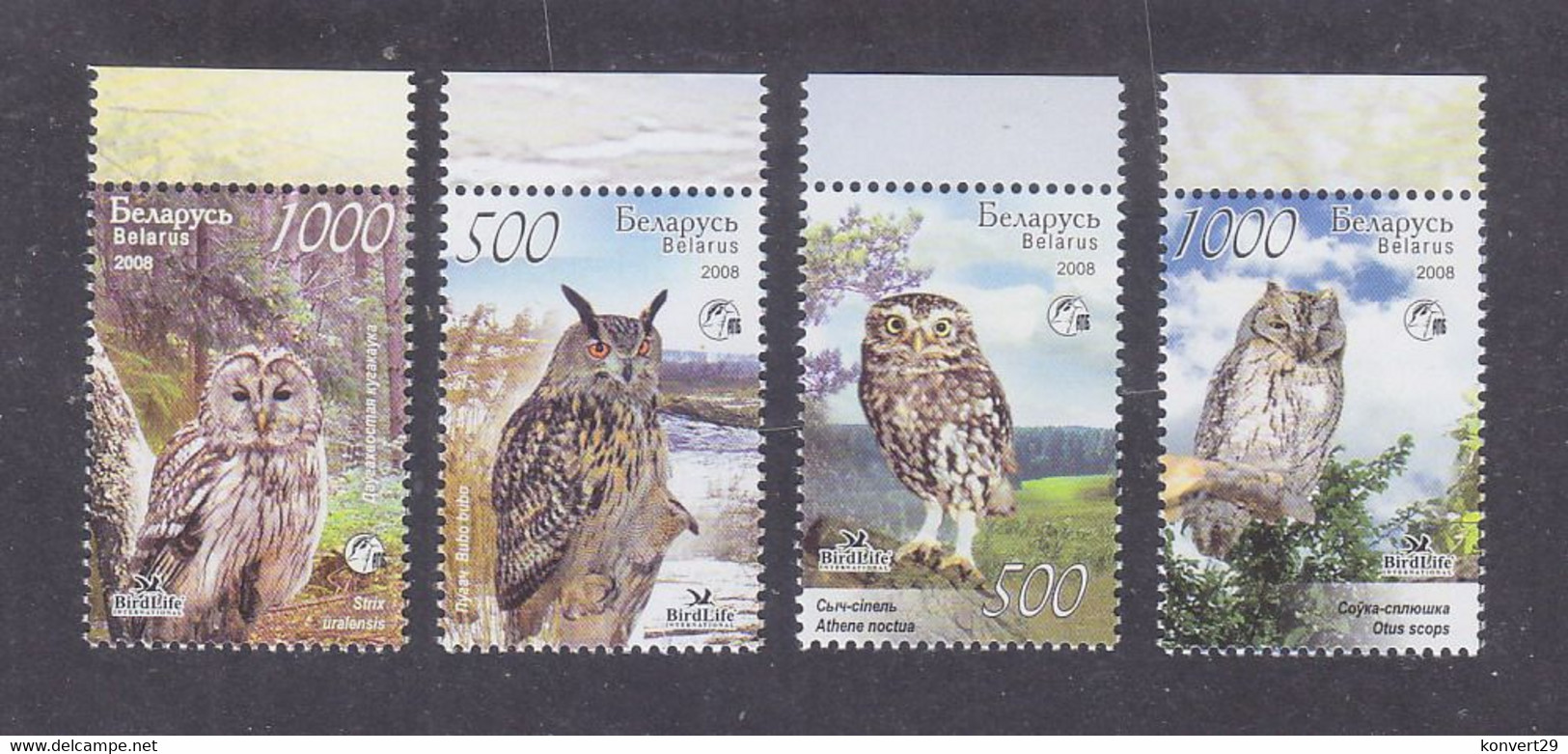 Belarus 2008 Birds Owls MNH** - Gufi E Civette