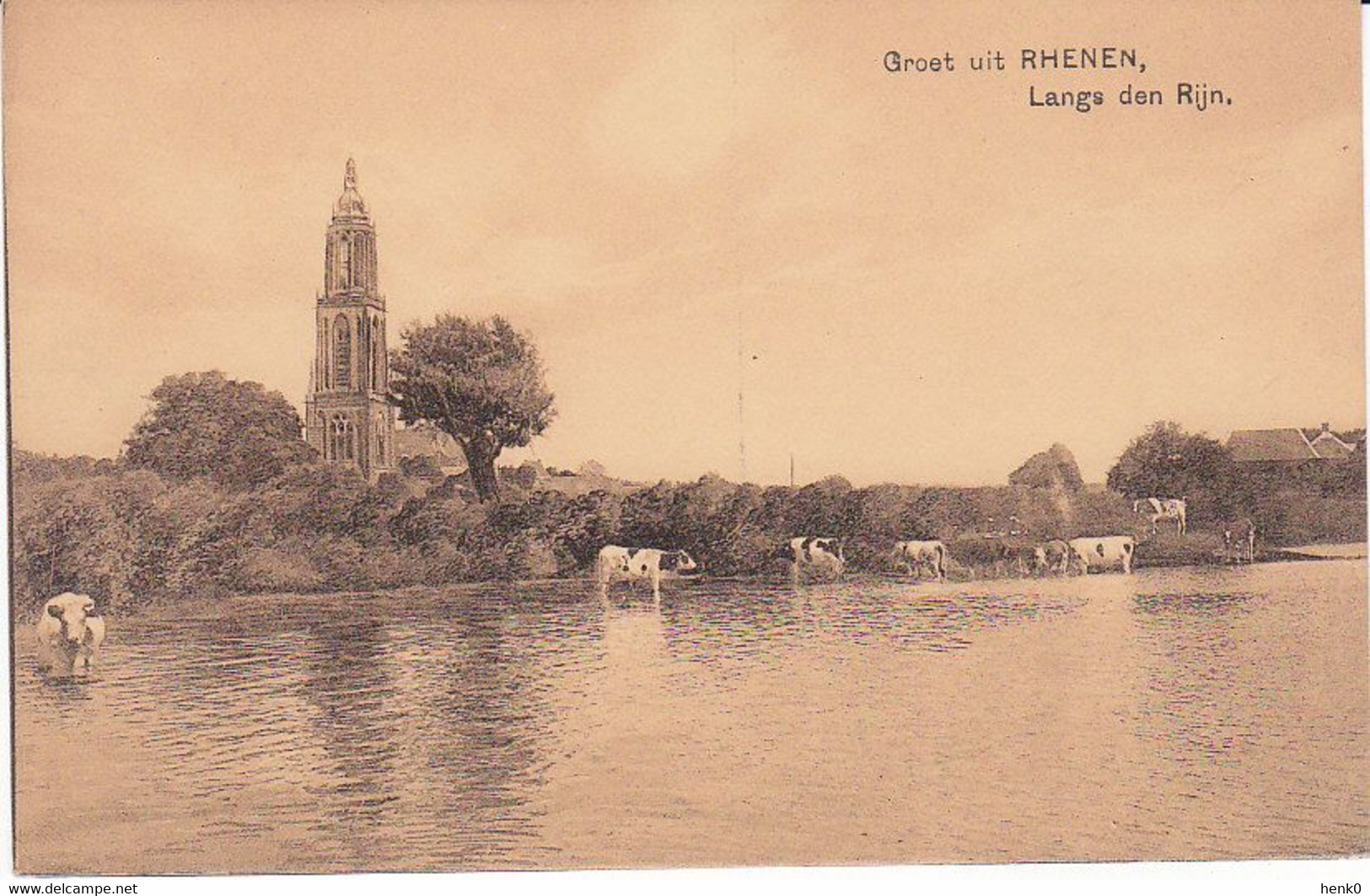 Rhenen Rijn Koeien ST212 - Rhenen