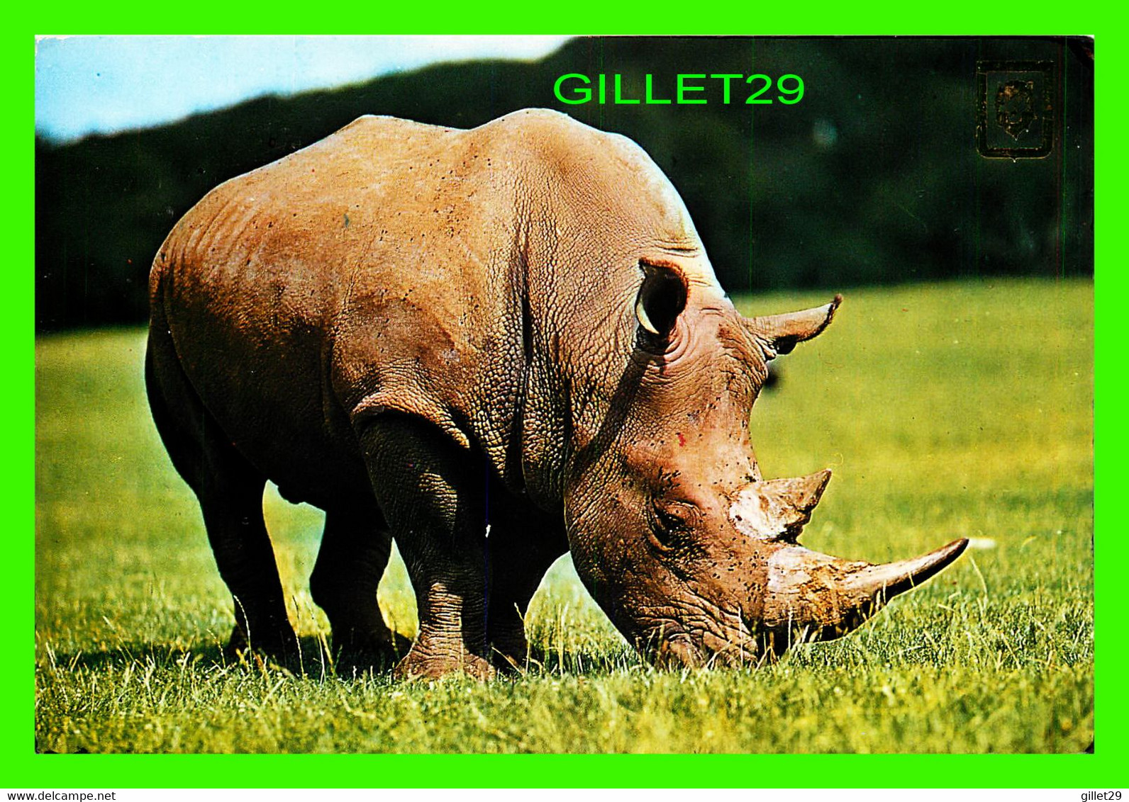 RHINOCÉROS - ANIMALES SALVAJES - TRAVEL IN 1985 - - Rhinoceros