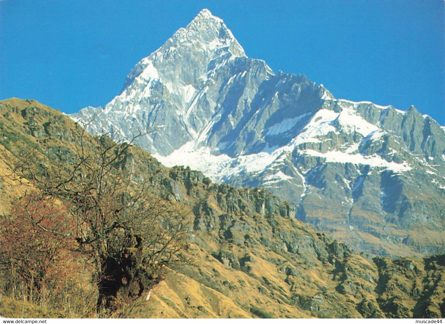 MACHHAPUCHHRE MOUNTAIN - NEPAL - Népal