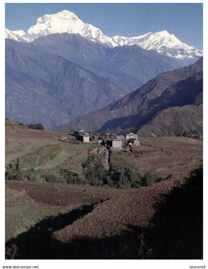 (Y 24) (NA) Nepal - Mountains - Népal