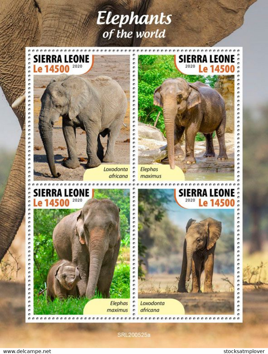 Sierra Leone 2020  Fauna Elephants  S202010 - Sierra Leone (1961-...)