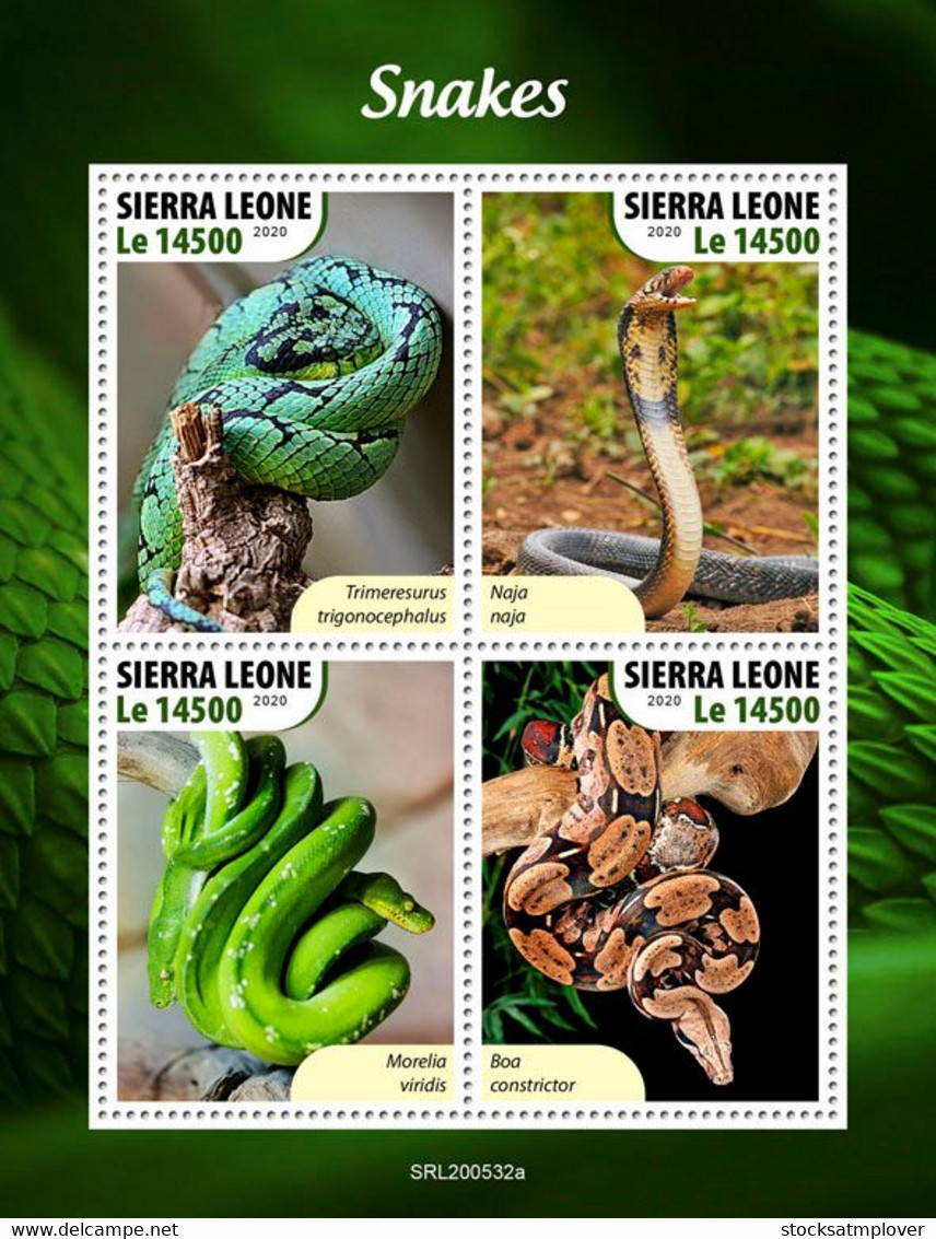 Sierra Leone 2020  Fauna  Snakes   S202010 - Sierra Leone (1961-...)