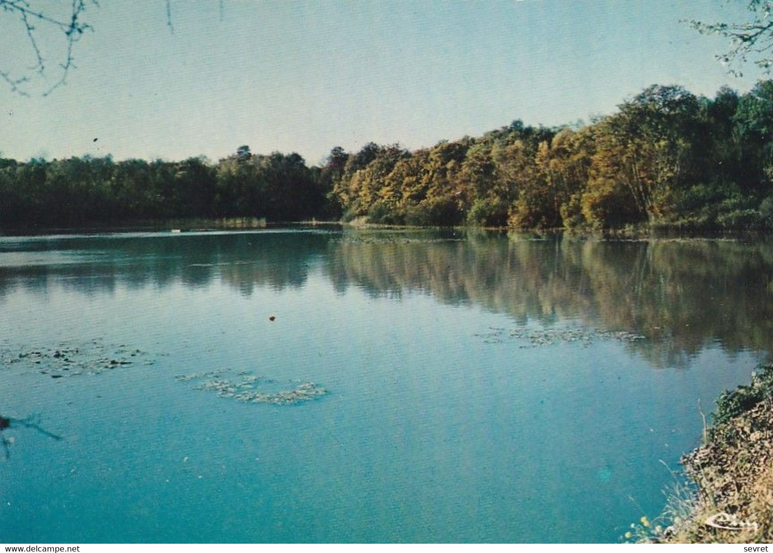 MONTMIRAIL. - L'Etang - Montmirail