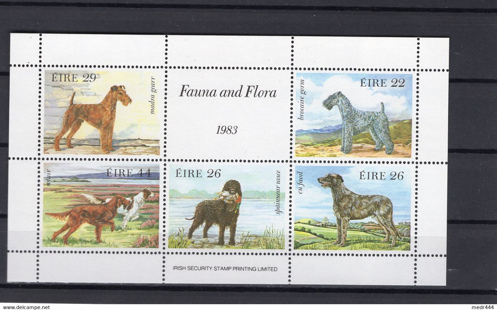 Ireland/EIRE 1983 - Fauna And Flora Dogs - Minisheet - MNH** - Excellent Quality - Cartas & Documentos