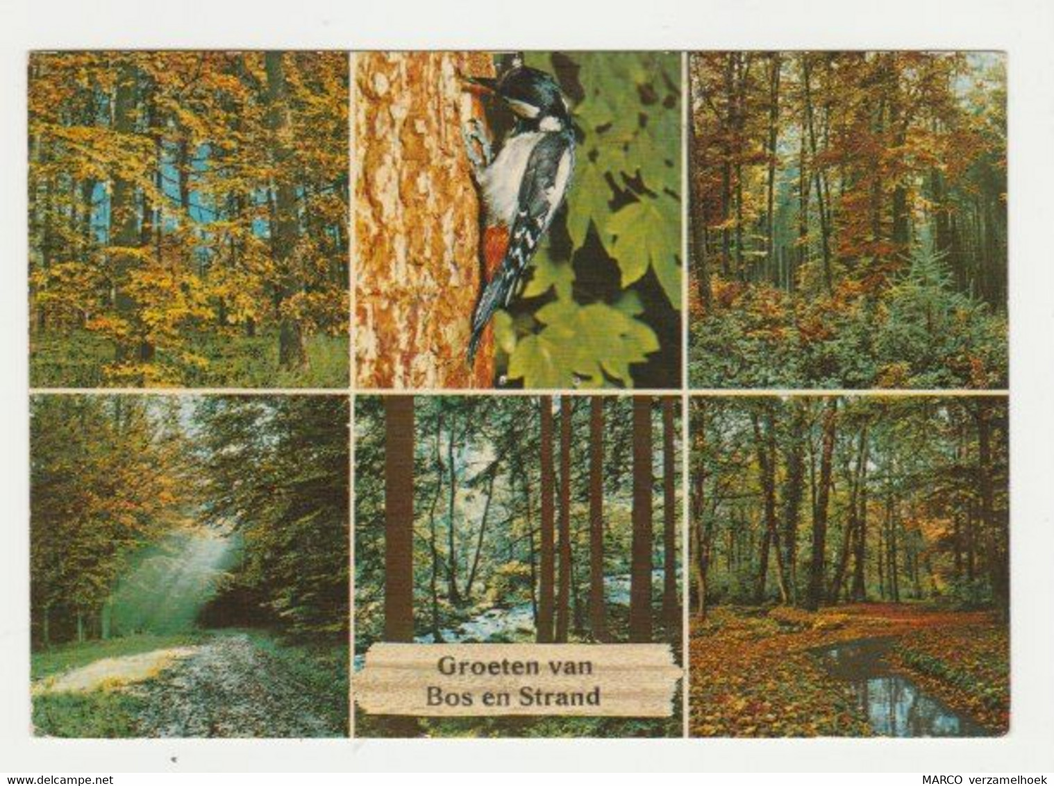 Ansichtkaart-postcard Groeten Van Recreatiecentrum Bos En Strand Horst (NL) - Horst