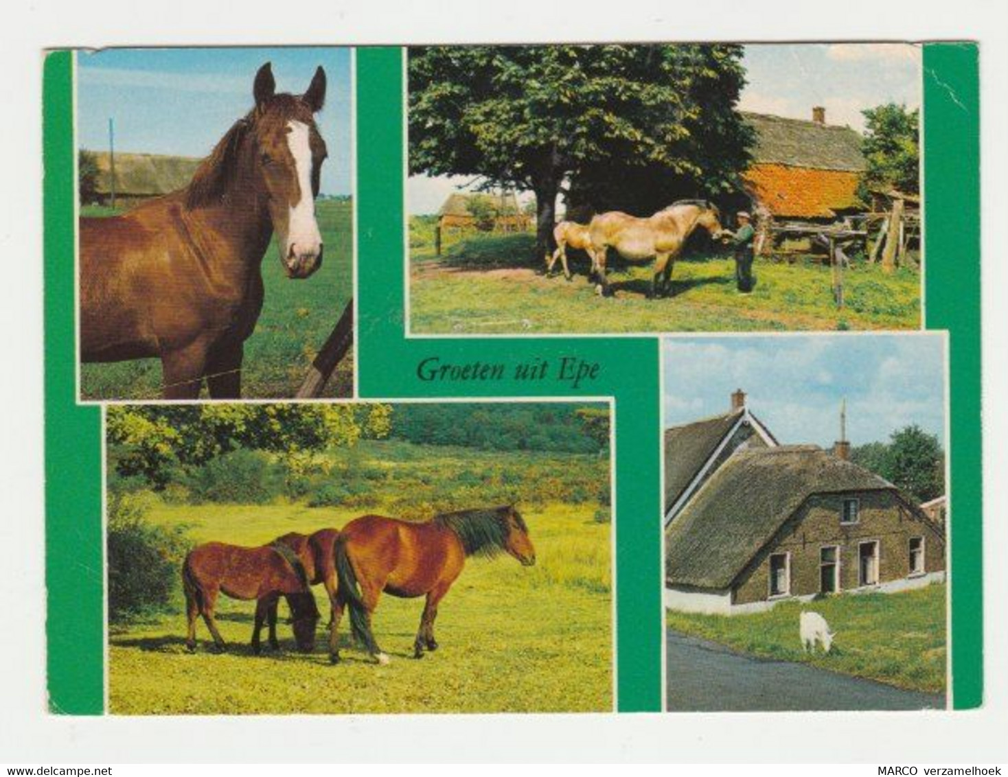 Ansichtkaart-postcard Groeten Uit Epe (NL) Paard-horse - Epe