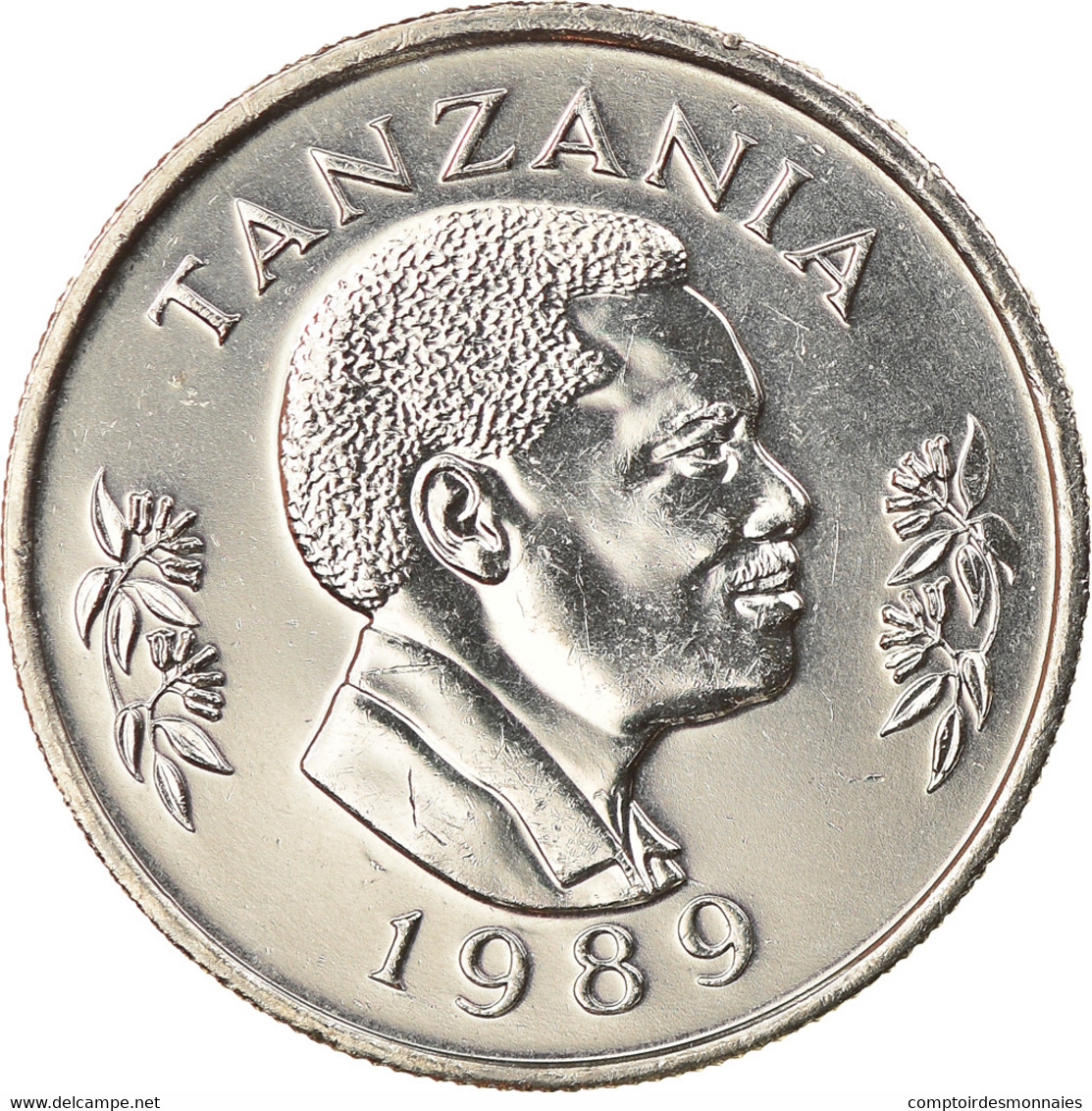 Monnaie, Tanzania, 50 Senti, 1989, British Royal Mint, SPL, Nickel Clad Steel - Tanzanie