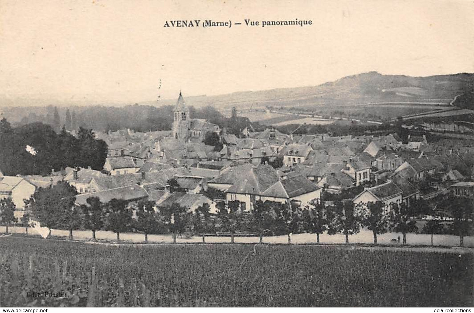 Avenay        51       Vue Panoramique       (voir Scan) - Sonstige & Ohne Zuordnung