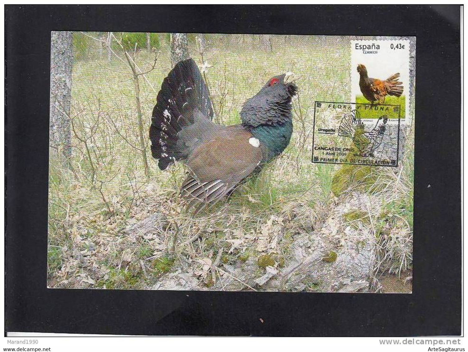 SPAIN, CARTE MAXIMUM - BIRDS-Tetrao Urogallus + - Perdrix, Cailles