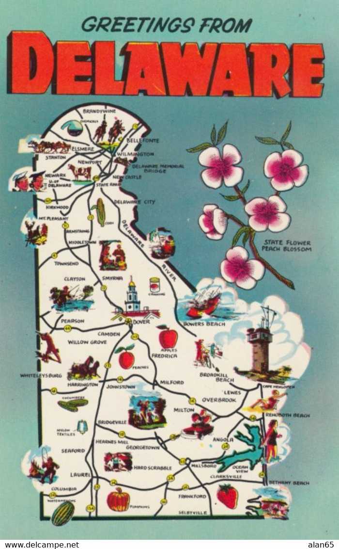 Delaware Map, State Flower, Lighthouse, Roads And Cities, C1950s/60s Vintage Postcard - Autres & Non Classés