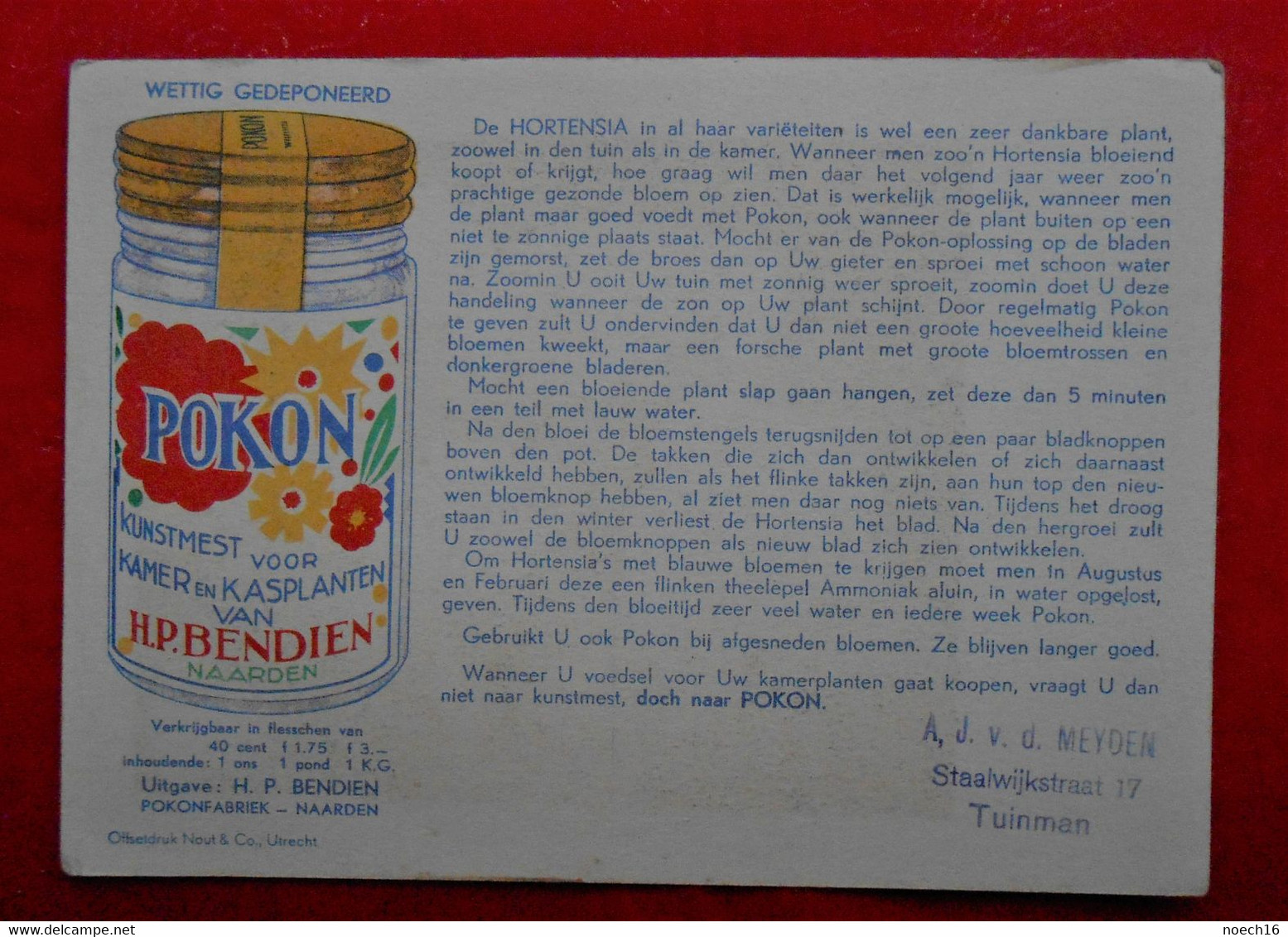 Carte Publicité Engrais POKON / H.P. BENDIEN Naarden/ Fleurs Hortensia / In Het NL - Publicités