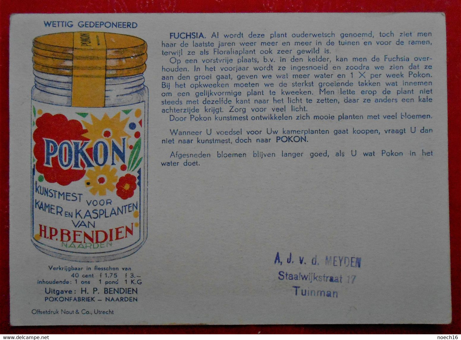 Carte Publicité Engrais POKON / H.P. BENDIEN Naarden/ Fleurs Fuchsia / In Het NL - Werbung