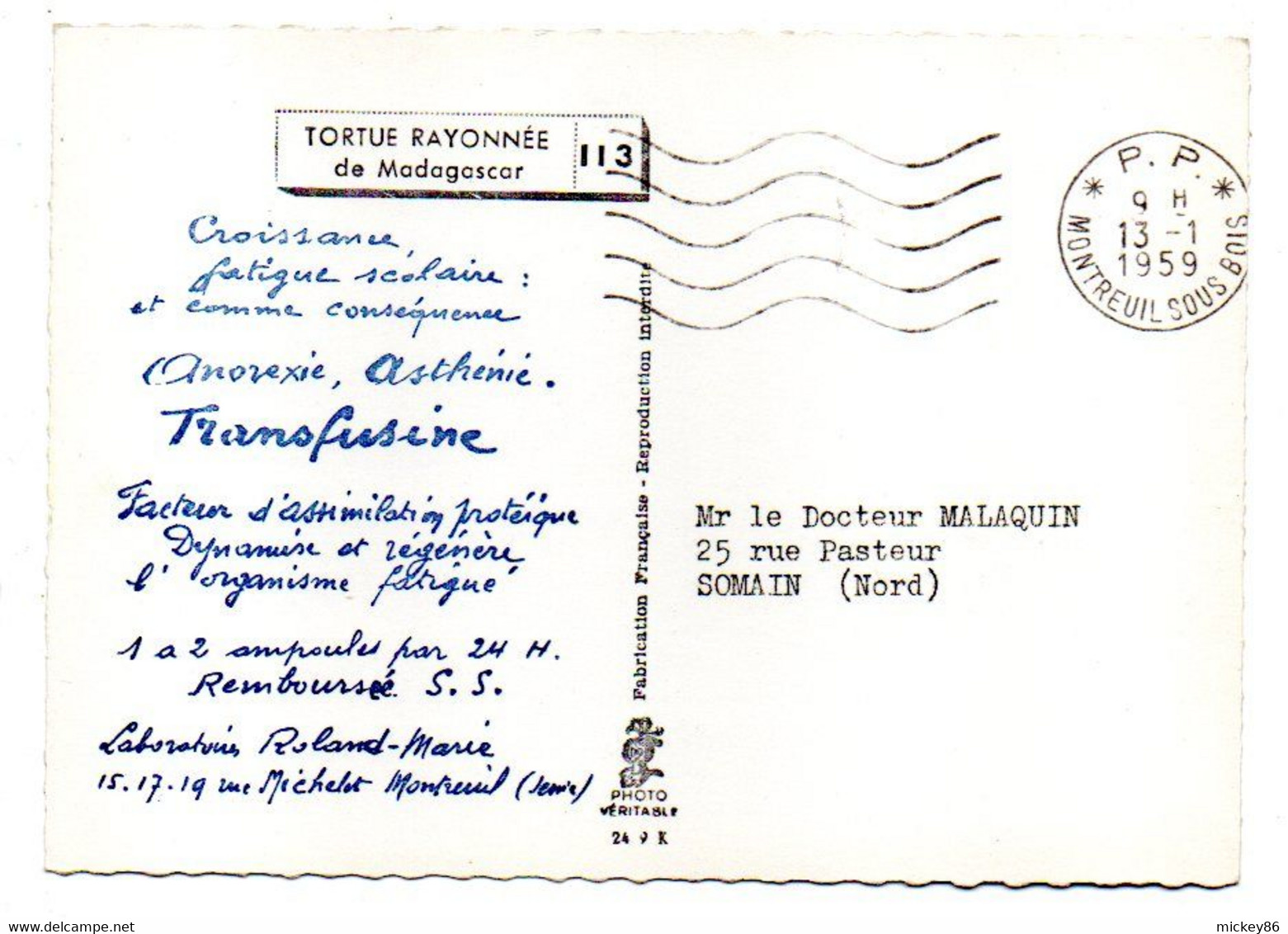 Tortue--Tortue Rayonnée De Madagascar --carte Publicitaire" Transfusine"...cachet  PP  MONTREUIL - 93 - Tortugas