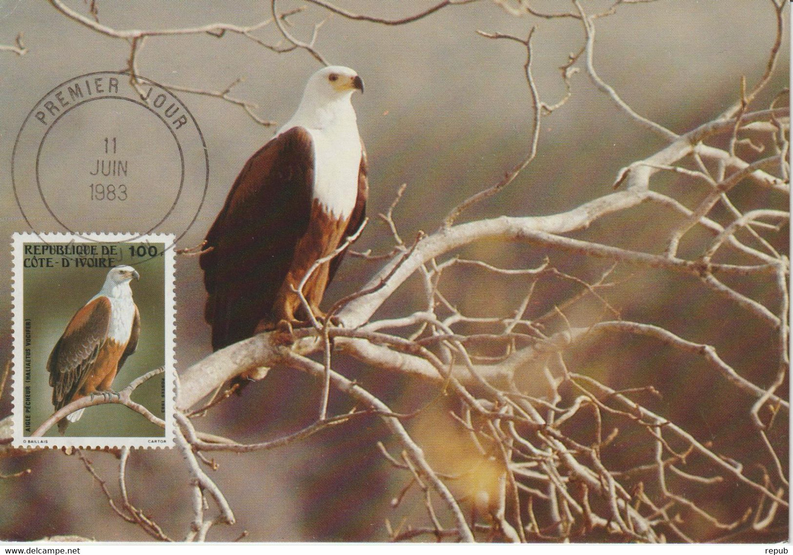 Cote D'Ivoire Carte Maximum Oiseaux 1983 Aigle 660 - Côte D'Ivoire (1960-...)